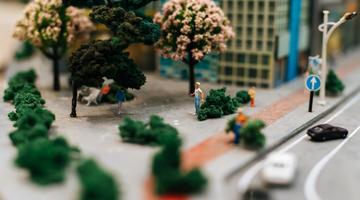 Street, Trees, People