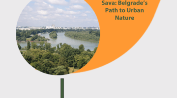 Belgrade State of Play Report