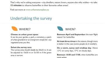 Counting butterflies in cities