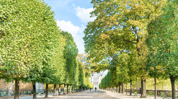 Green Paris
