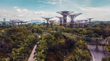 An areal view of greenspace and futuristic buildings and air bridges. 