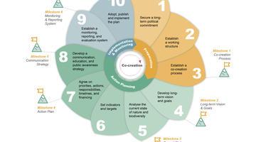 Urban Nature Plan Cycle Steps