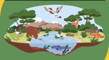 Over 1 million species are at risk of extinction. Join us and the UN in calling for increased harmony with nature and sustainable development - from the ground up.