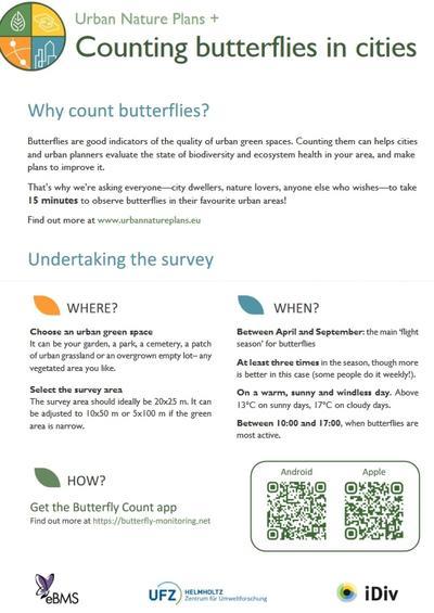 Counting butterflies in cities