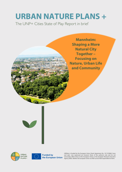 Mannheim State of Play in brief