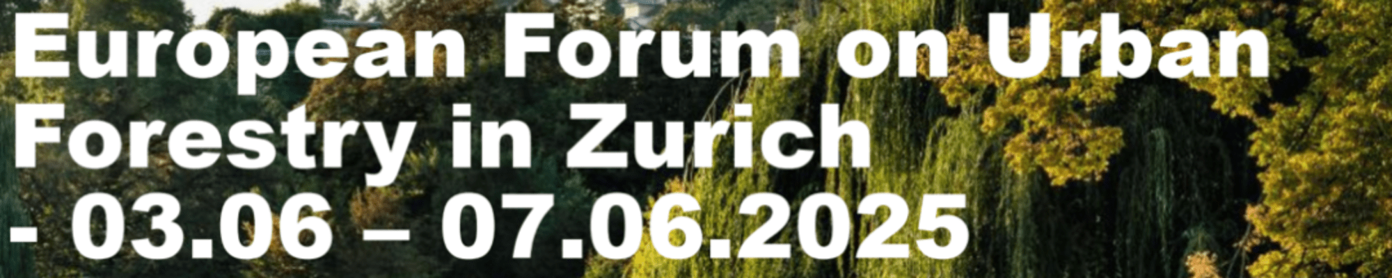 Conference Save the Date with Details