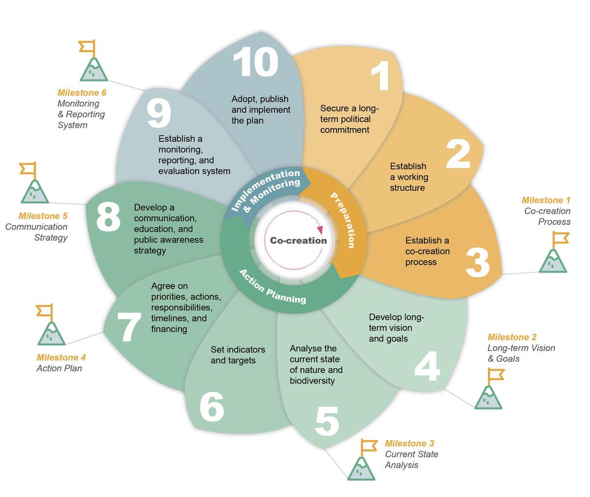Urban Nature Plan Cycle Steps