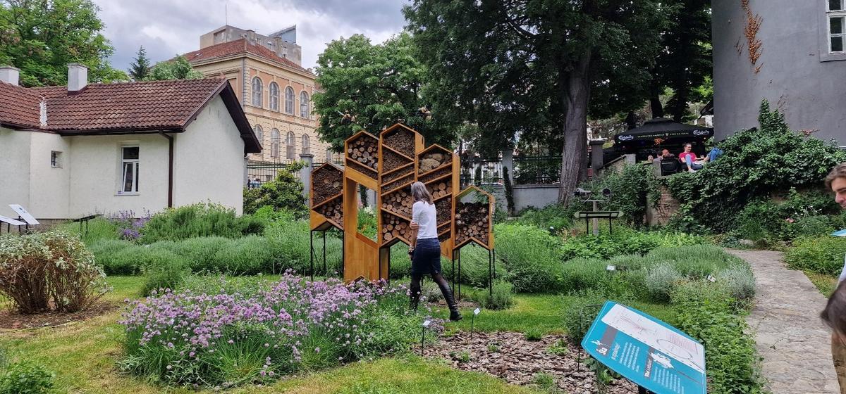 Pollinator garden at Jevremovac Botanical Garden